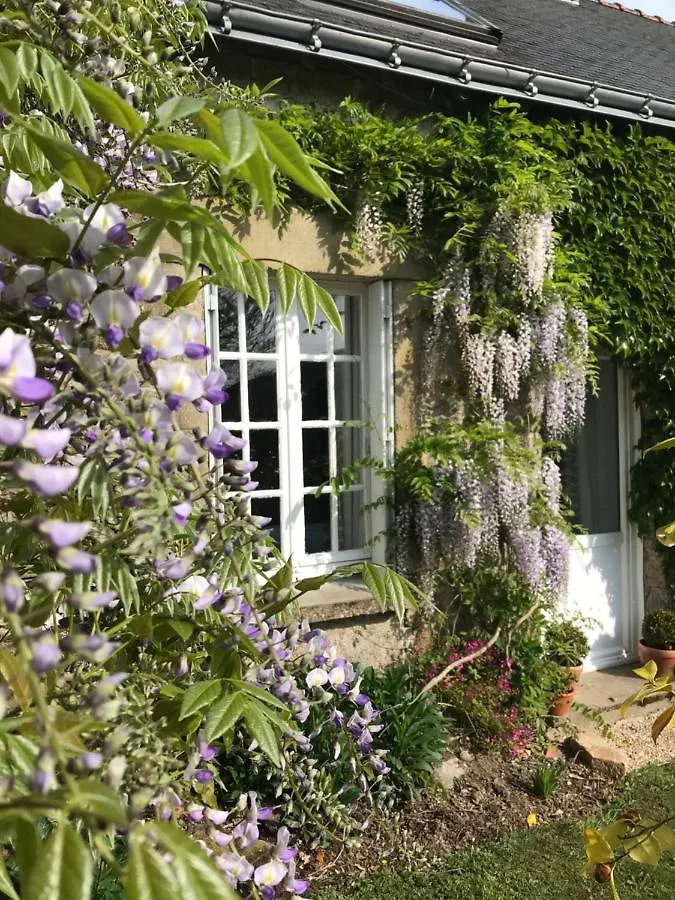 Walnut Tree Gite Brittany Boderel Holiday home