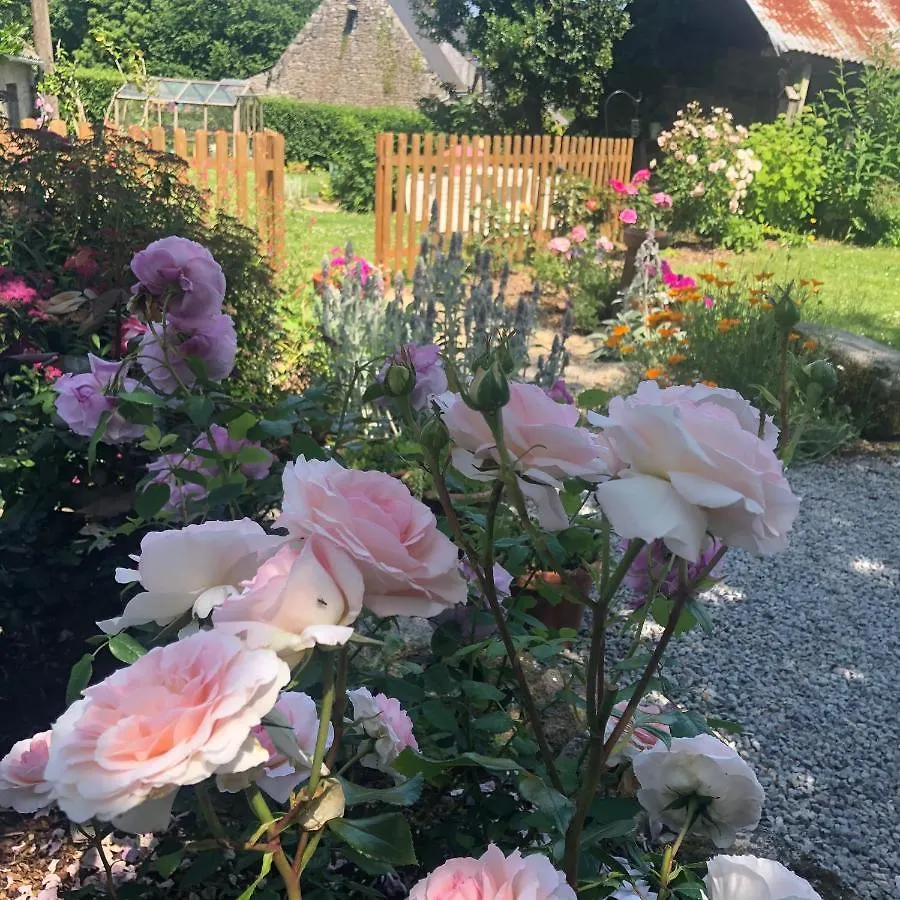 Walnut Tree Gite Brittany Boderel Holiday home